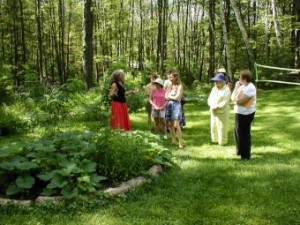 Butterfly Garden Tour