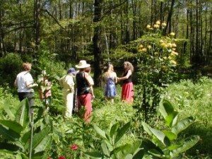 Butterfly Garden Tour