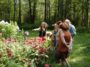 Butterfly Garden Tour